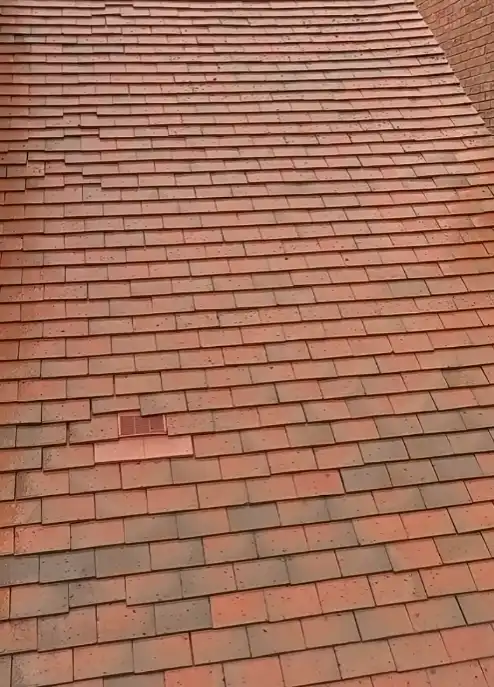 Before and after roof cleaning Tampa