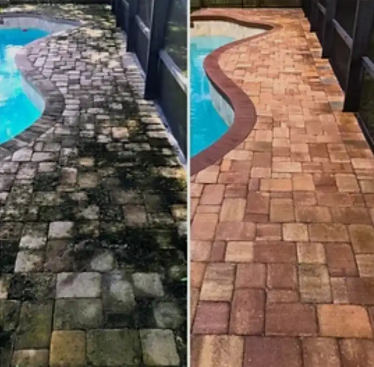 Before and after paver walkway cleaning Tampa