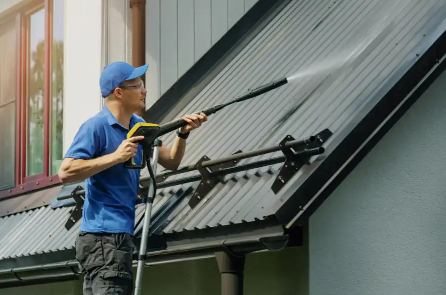 Professional exterior cleaning crew at work in Tampa